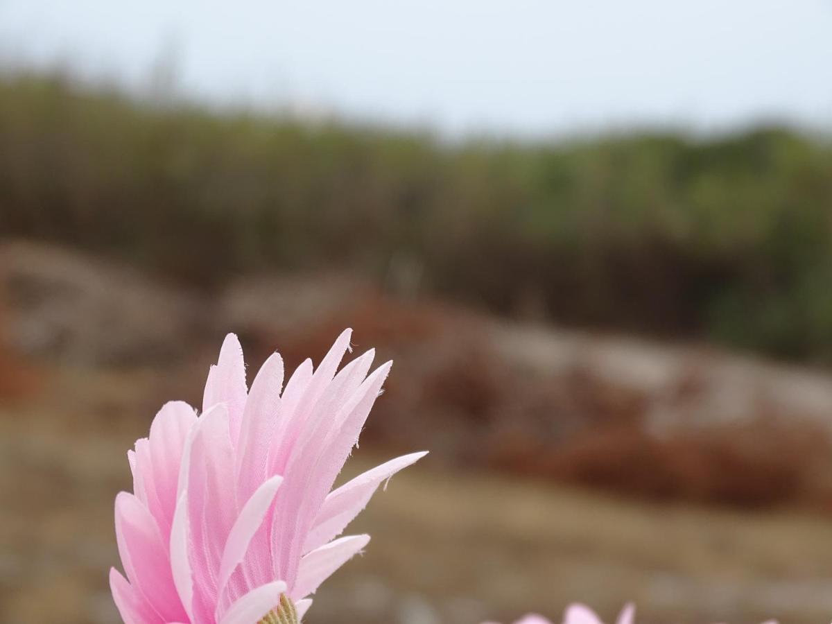 וילה נובה דה מילפונטס Sudwest Rooms By Stay In Alentejo For Hikers מראה חיצוני תמונה